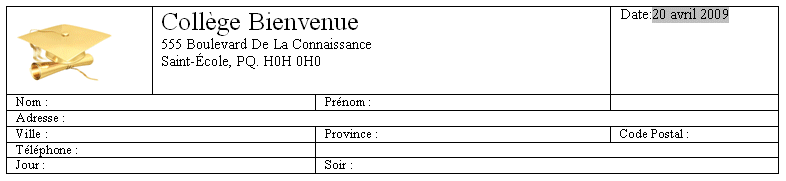 word 2003:formulaire-2-2