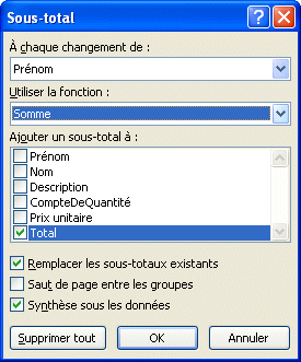 Excel 2007 - Sous-total - Options