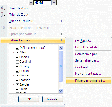 Excel 2007 - Filtre automatique personnalisé