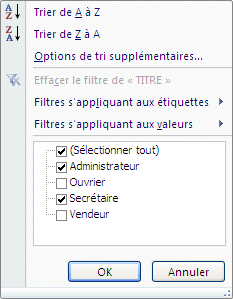 Excel 2007 : Liste des options pour gérer l'affichage d'un champ : Tri et filtre