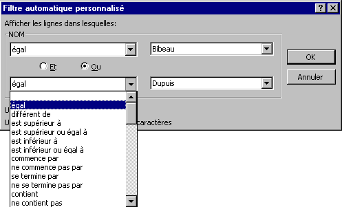 Excel: Fenêtre Filtre automatique personalisé